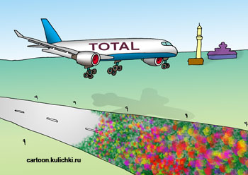 Карикатура. Самолет идет на посадку. Взлетная полоса в цветах.