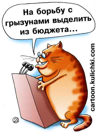 Карикатура про бюджет. На борьбу с грызунами выделить из бюджета для толстых рыжих котов много денег. Толстенный кот за трибуной.