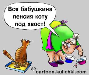 Карикатура о пенсии. Бабушка на всю пенсию купила коту рыбы. Кот сходил после еды в туалет и вся бабушкина пенсия коту под хвост.