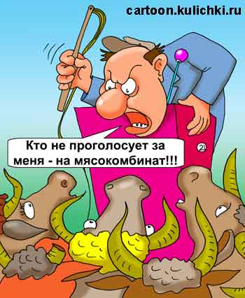 Карикатура про выборы. Пастух обещает своим коровам путевки на мясокомбинат ели они не проголосуют за него на выборах.