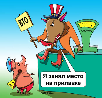 Карикатура о ВТО. Свинина на прилавке американская вытиснула свинину местного производства.