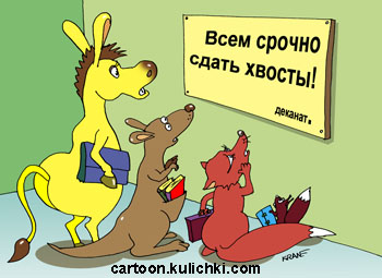 Карикатура об успеваемости. Объявление у дверей деканата "Срочно сдать хвосты!" Хвостатые студенты ослы, лисы, белочки и кенгуру.