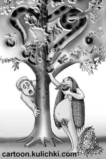 Карикатура про Еву и Адама. Ева ест яблоки от змея искусителя и у нее растет живот, но Адам не причем – живот растет от яблок.