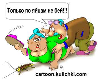 Карикатура про борьбу с тараканами. Пенсионерка хотела хлопнуть таракана тапками, но пенсионер настрадавшийся от своей жены просит, ее убить таракана гуманным способом. 