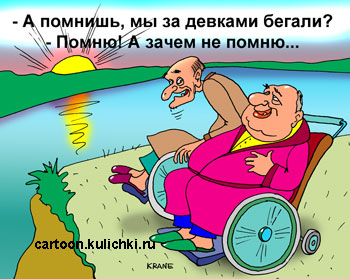Карикатура про любовь. Два склерозных деда на колясках вспоминают за чем они бегали в молодости за девками. 
