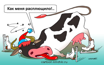 Карикатура о фигурном катании. Корова на льду в фигурных коньках растянулась. Ее расплющило стать как Плющенко.