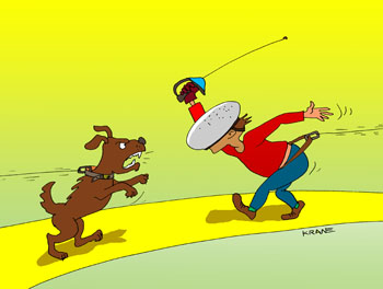 Карикатура о фехтовании. Фехтование напоминает собаку на привези. Собака лает и кусает. Спортсмен кричит и колется шпагой.