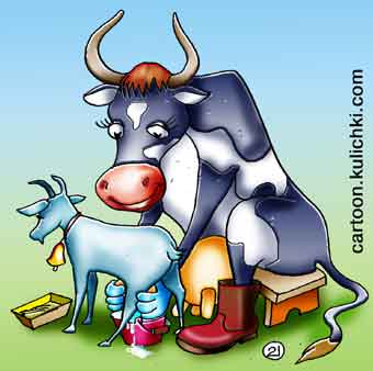 Карикатура о надоях. Много ли молока с козы. Корова с большим выменем доит козу.