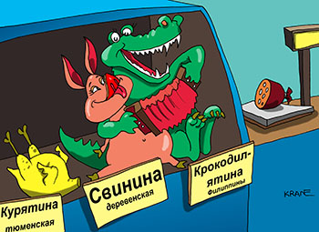 Карикатура о мясе крокодила. На прилавках магазинов появилась крокодилятина. Филиппины поставки мяса крокодила.